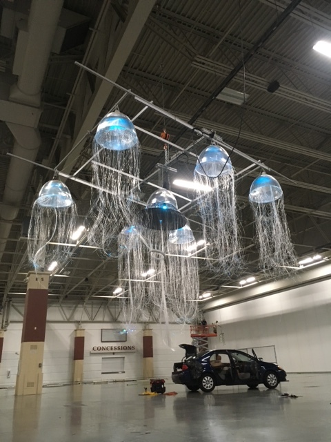 Jellyfish (Under the Sea) project image