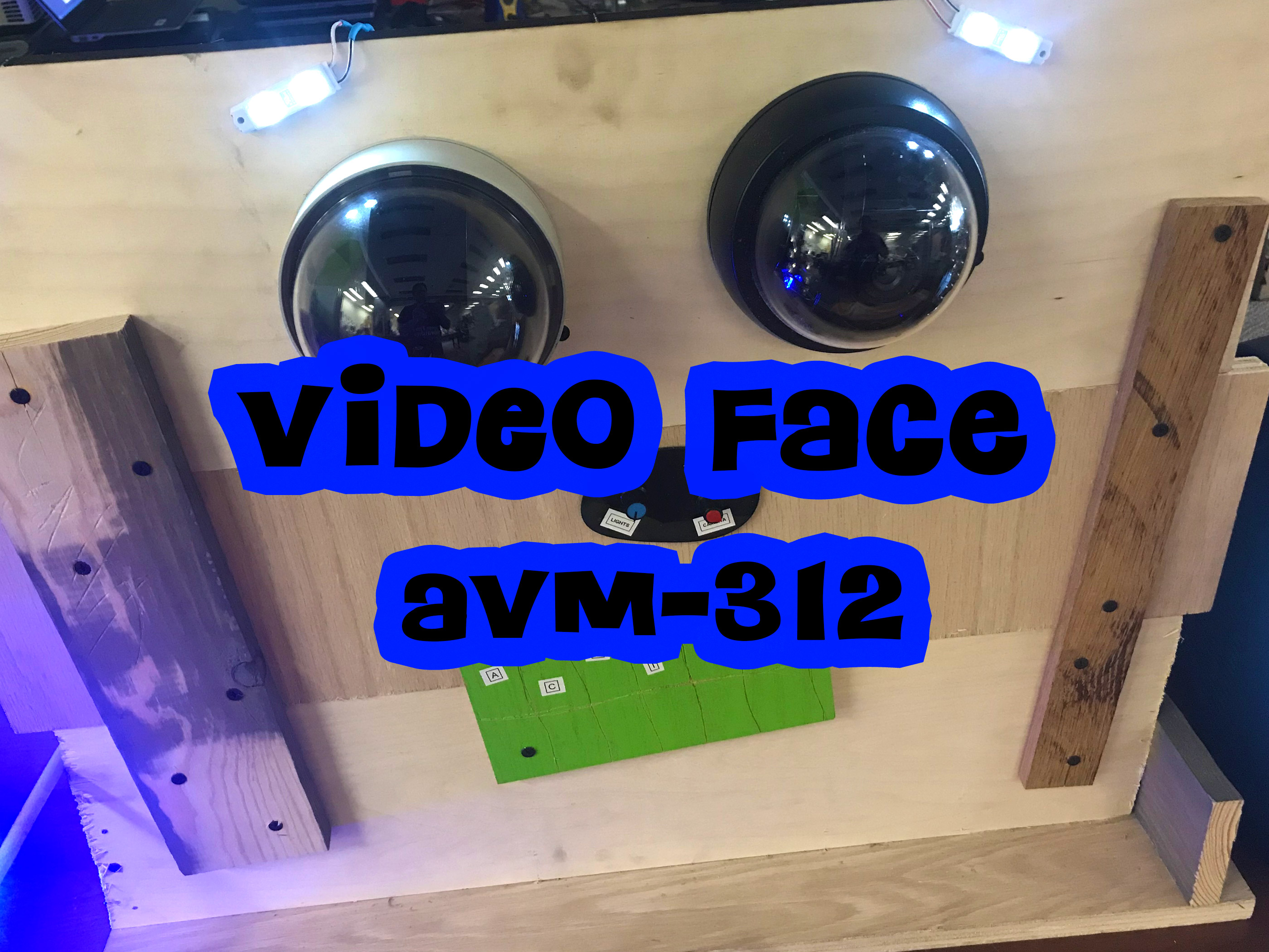 VIDEO FACE [AVM-312] project image