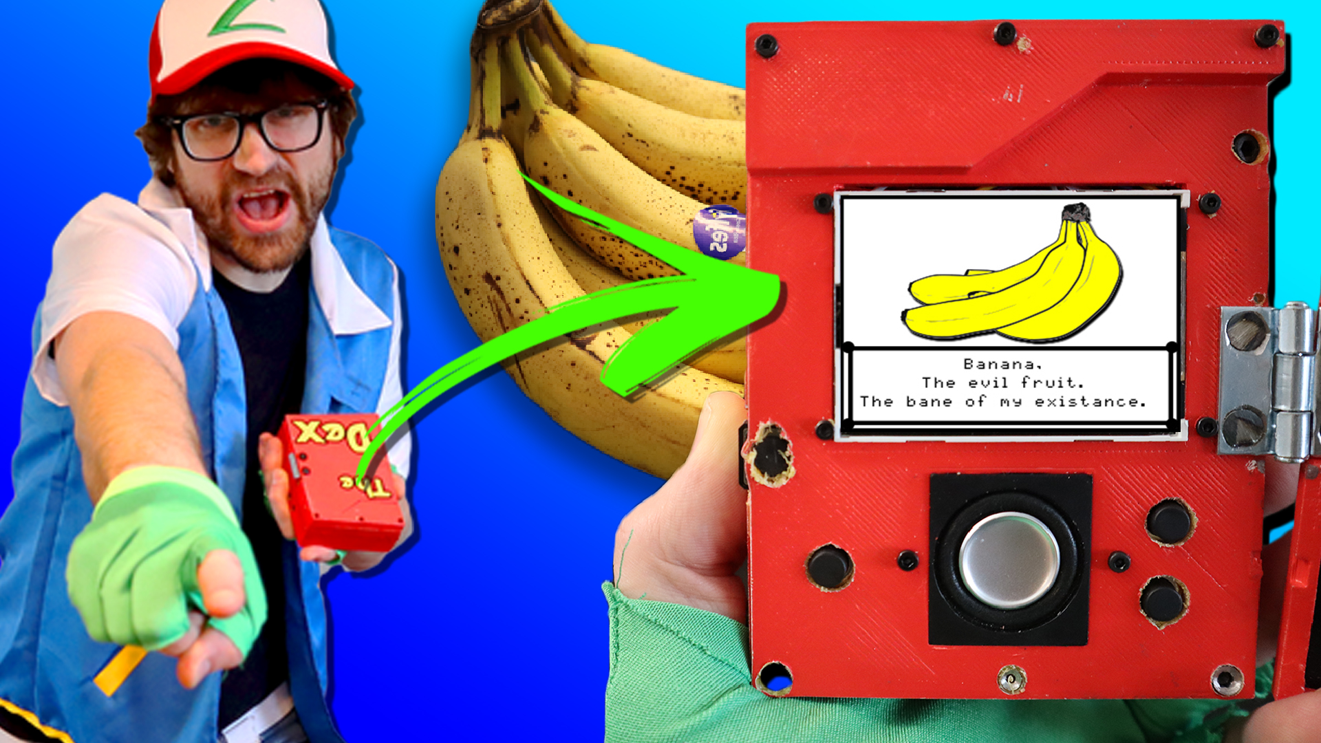 Real Life Pokedex project image