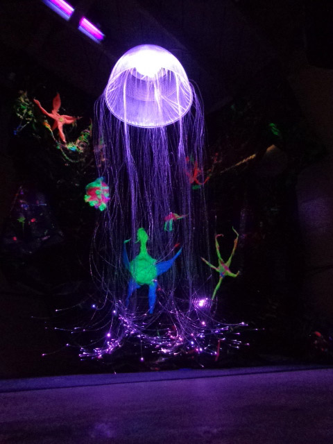 Jellyfish (Under the Sea) project image